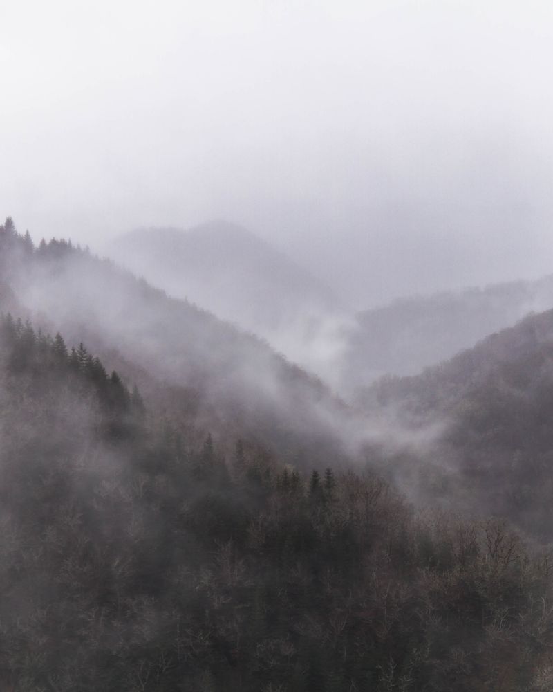 Un paysage dans la brume hivernale en Limousin